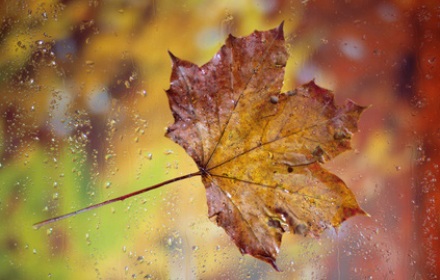 Heizperiode Herbst 2 © fabio fabio / fotolia.com